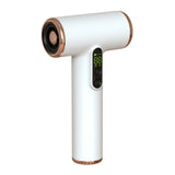Professional Cordless Hair Dryer